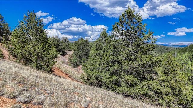 282 Fairview Drive, Florissant, CO 80816