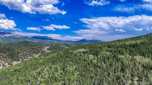 282 Fairview Drive, Florissant, CO 80816