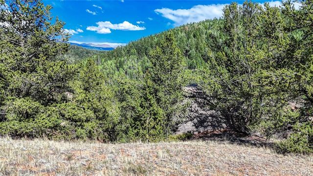 282 Fairview Drive, Florissant, CO 80816