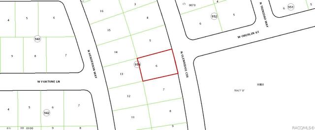 7040 N Glenridge Circle, Citrus Springs, FL 34434