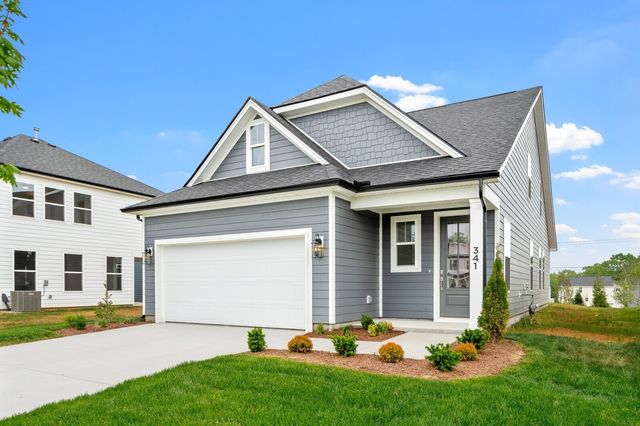 341 Mammoth Trace, Smyrna, TN 37167
