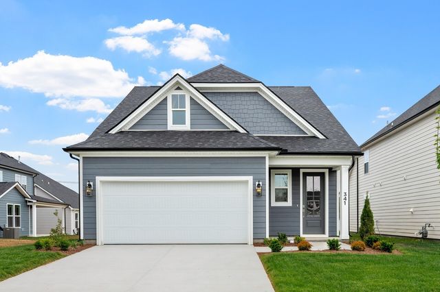 341 Mammoth Trace, Smyrna, TN 37167