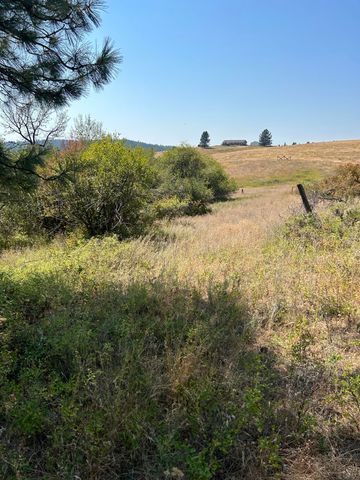 117XX E Tallman Rd, Chattaroy, WA 99003