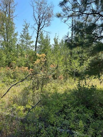 117XX E Tallman Rd, Chattaroy, WA 99003