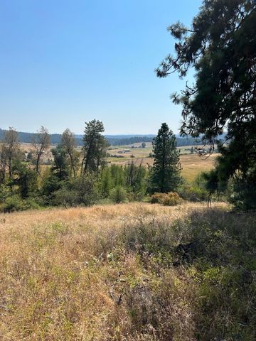 117XX E Tallman Rd, Chattaroy, WA 99003