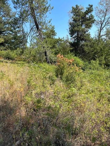 117XX E Tallman Rd, Chattaroy, WA 99003