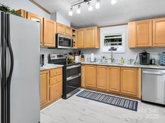 450 Berry Wills Road, Hot Springs, NC 28743