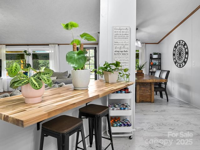 450 Berry Wills Road, Hot Springs, NC 28743