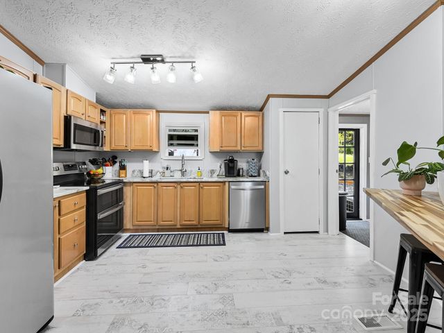 450 Berry Wills Road, Hot Springs, NC 28743