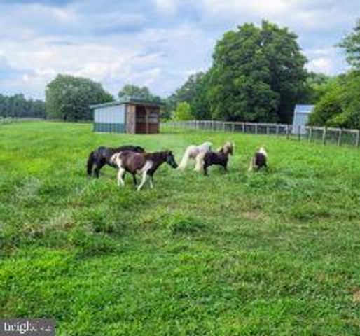 679 OAK HILL SCHOOL RD, Townsend, DE 19734