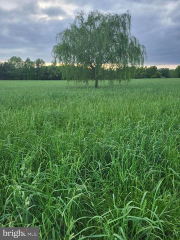 679 OAK HILL SCHOOL RD, Townsend, DE 19734