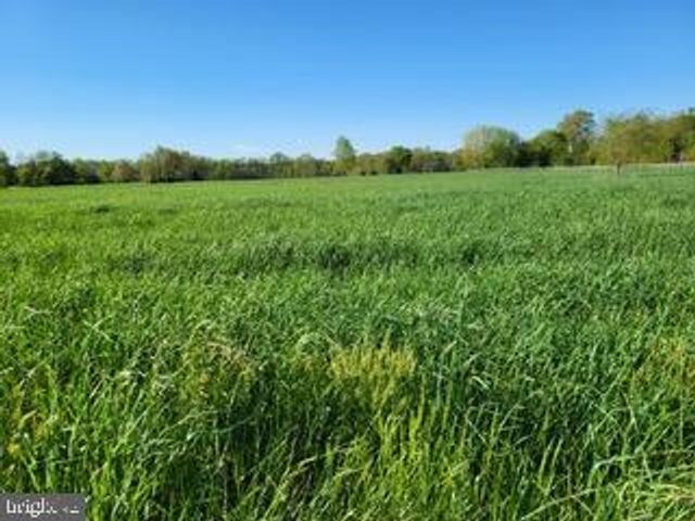 679 OAK HILL SCHOOL RD, Townsend, DE 19734