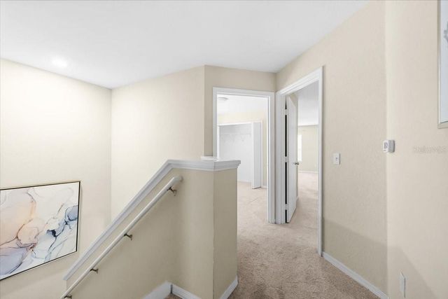 4007 FOXTAIL PALM COURT, Tampa, FL 33624