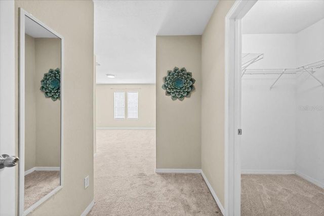 4007 FOXTAIL PALM COURT, Tampa, FL 33624