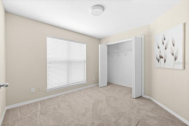 4007 FOXTAIL PALM COURT, Tampa, FL 33624