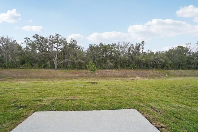 7186 RAY CREEK DRIVE, Brooksville, FL 34601