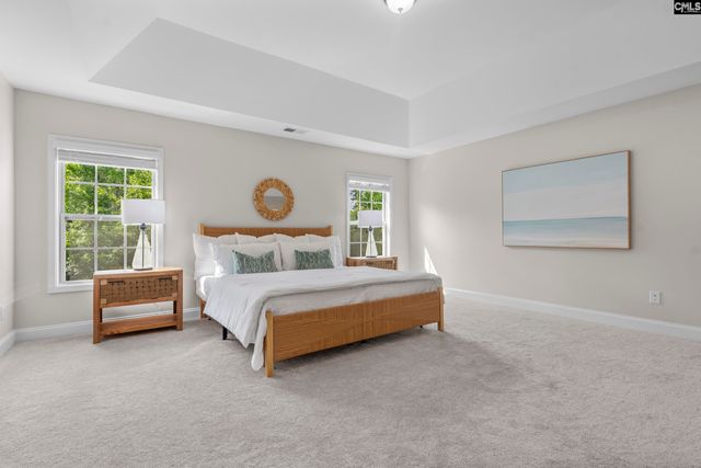 357 Bent Oak Drive, Chapin, SC 29036