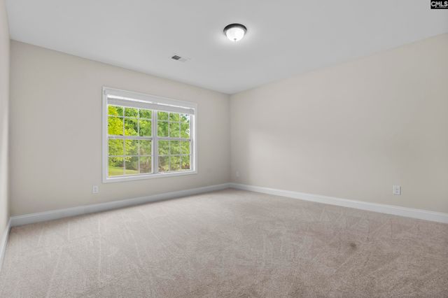 357 Bent Oak Drive, Chapin, SC 29036