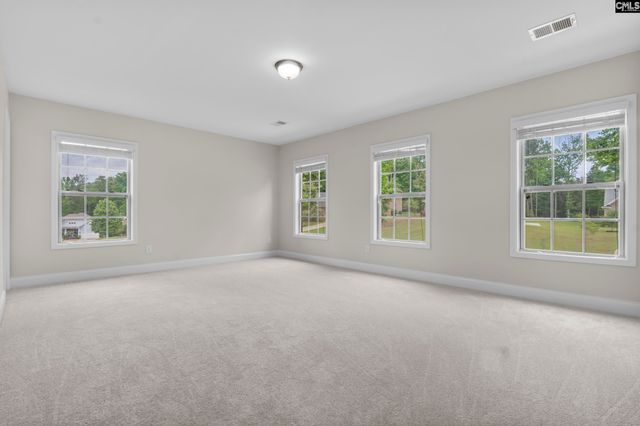 357 Bent Oak Drive, Chapin, SC 29036