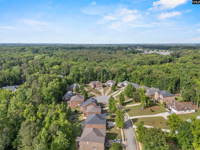 357 Bent Oak Drive, Chapin, SC 29036