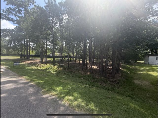 0 Bear Branch, Magnolia, TX 77354