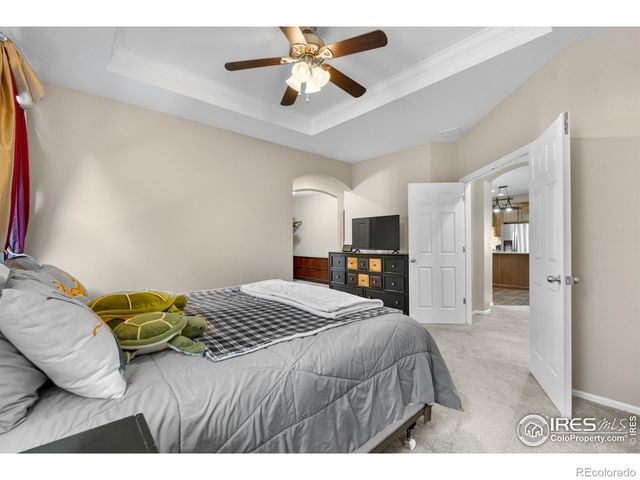 5865 Quarry Street, Timnath, CO 80547