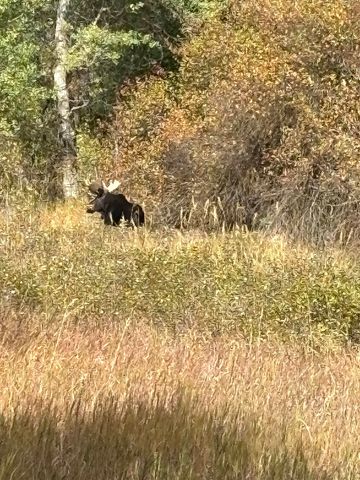1925 N Deep Creek Rd, Medical Lake, WA 99022