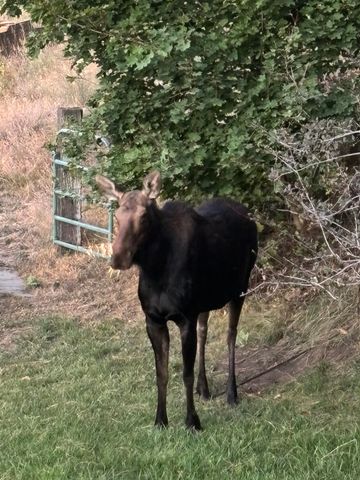 1925 N Deep Creek Rd, Medical Lake, WA 99022