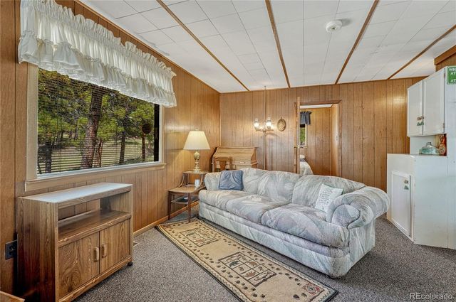 101 Dunlap Drive, Florissant, CO 80816