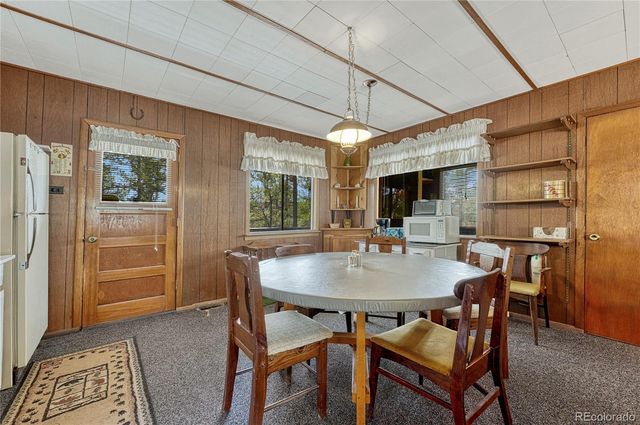 101 Dunlap Drive, Florissant, CO 80816