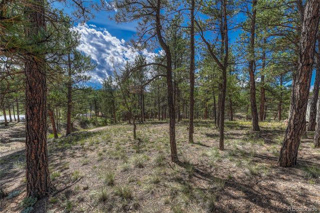 101 Dunlap Drive, Florissant, CO 80816