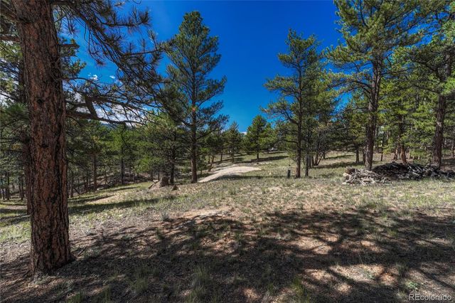 101 Dunlap Drive, Florissant, CO 80816