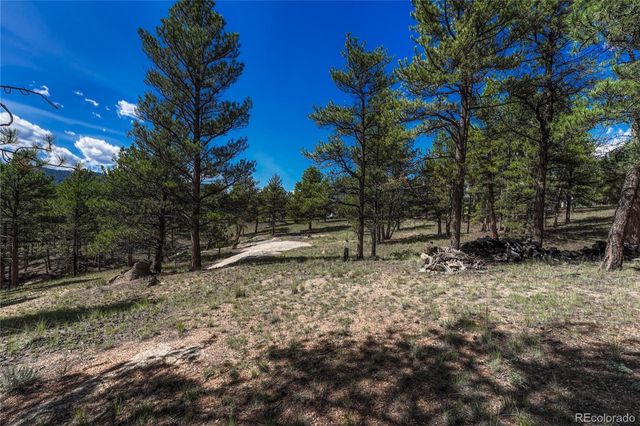 101 Dunlap Drive, Florissant, CO 80816