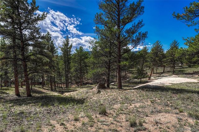 101 Dunlap Drive, Florissant, CO 80816