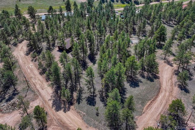 101 Dunlap Drive, Florissant, CO 80816
