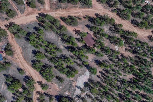 101 Dunlap Drive, Florissant, CO 80816