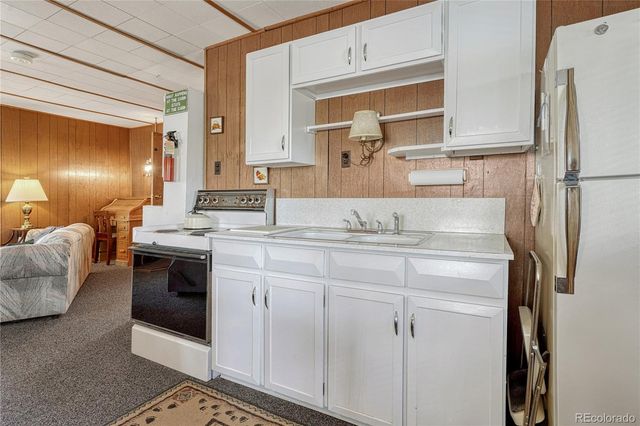 101 Dunlap Drive, Florissant, CO 80816