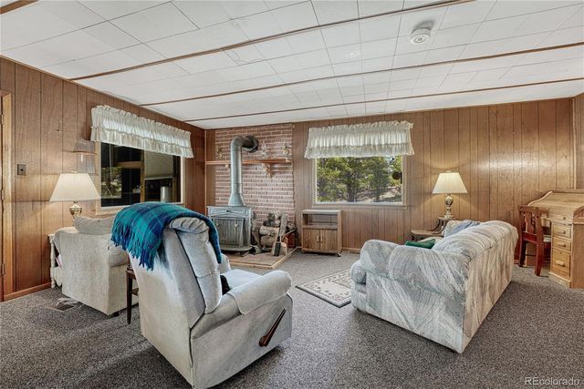 101 Dunlap Drive, Florissant, CO 80816