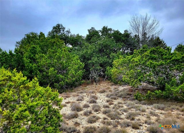 193 Appaloosa Drive, Fischer, TX 78623