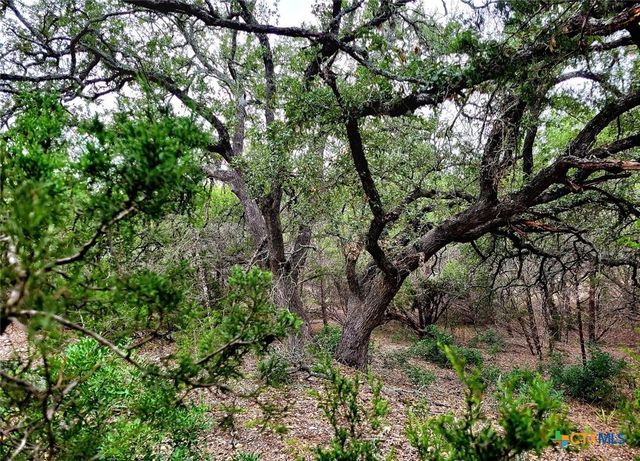 193 Appaloosa Drive, Fischer, TX 78623