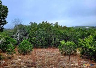 193 Appaloosa Drive, Fischer, TX 78623