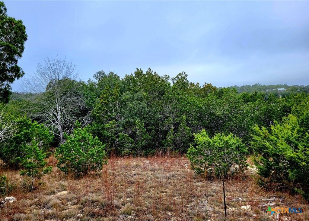 193 Appaloosa Drive, Fischer, TX 78623
