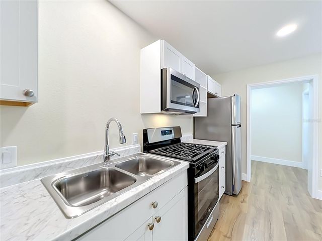 450 LIBERTY AVENUE 3, Mount Dora, FL 32757