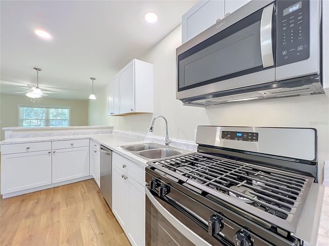 450 LIBERTY AVENUE 3, Mount Dora, FL 32757