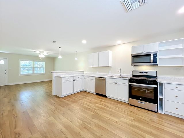 450 LIBERTY AVENUE 3, Mount Dora, FL 32757