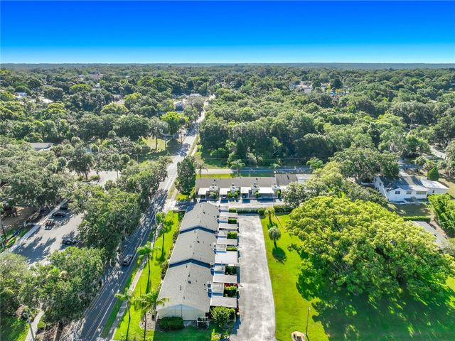 450 LIBERTY AVENUE 3, Mount Dora, FL 32757