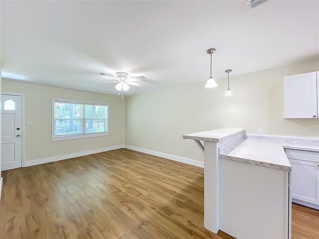 450 LIBERTY AVENUE 3, Mount Dora, FL 32757