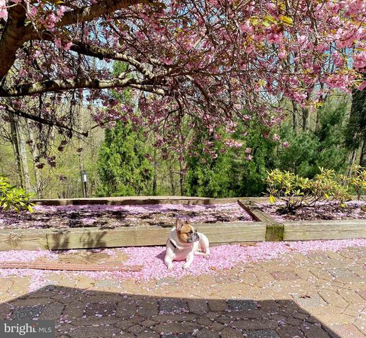 1047 IMPERIAL DR, Mohnton, PA 19540