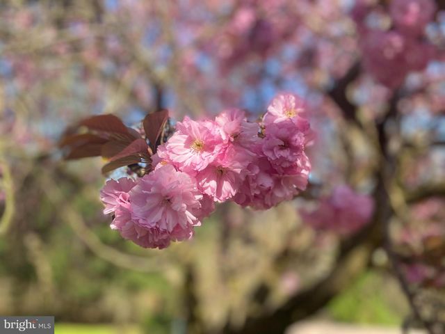 1047 IMPERIAL DR, Mohnton, PA 19540