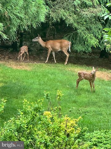 1047 IMPERIAL DR, Mohnton, PA 19540